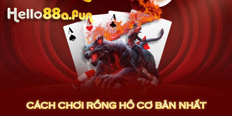 Cách chơi rồng hồ cơ bản nhất