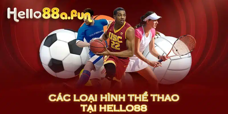 Các loại hình thể thao tại HELLO88